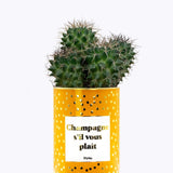 Champagne s'il vous plaît - Cactus - Finitions gold