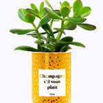 Champagne s'il vous plaît - Cactus - Finitions gold