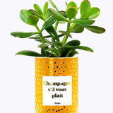 Champagne s'il vous plaît - Cactus - Finitions gold