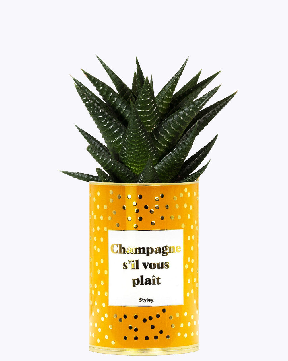Champagne s'il vous plaît - Cactus - Finitions gold