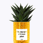 Champagne s'il vous plaît - Cactus - Finitions gold