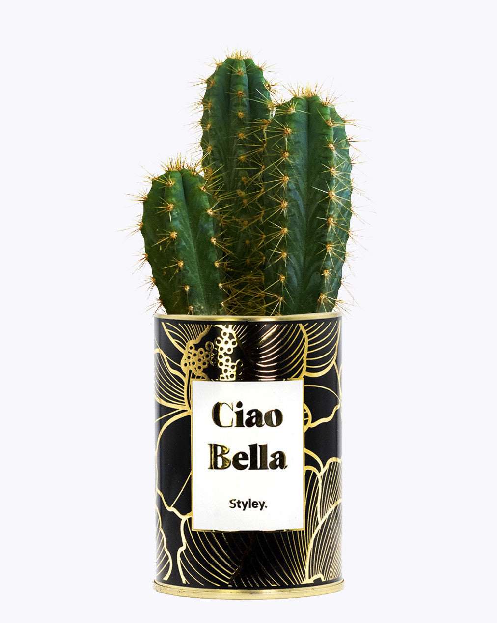 Ciao Bella - Cactus - Finitions Gold