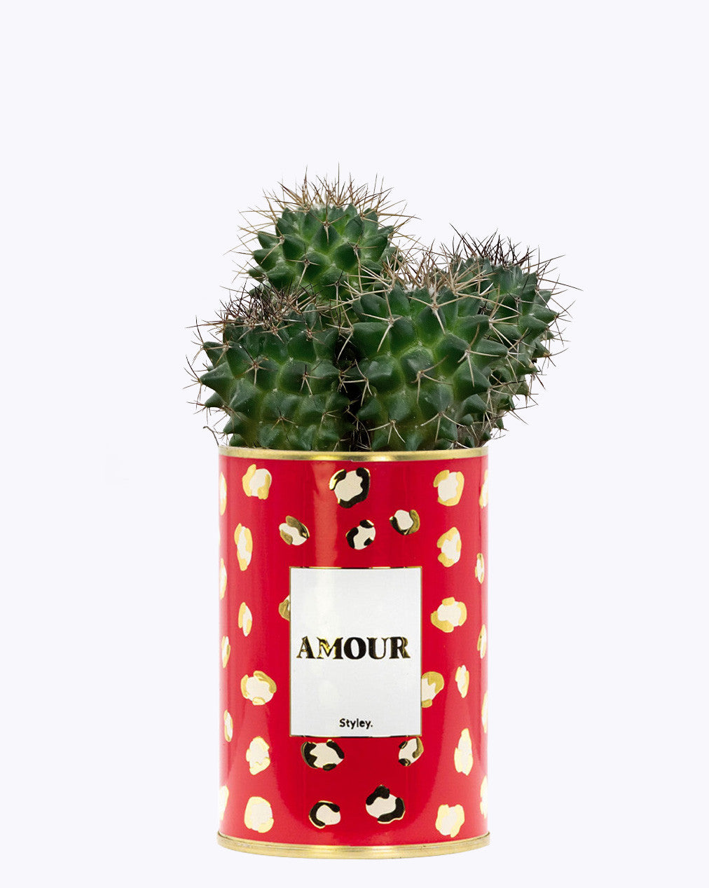 Amour - Cactus - Finitions gold