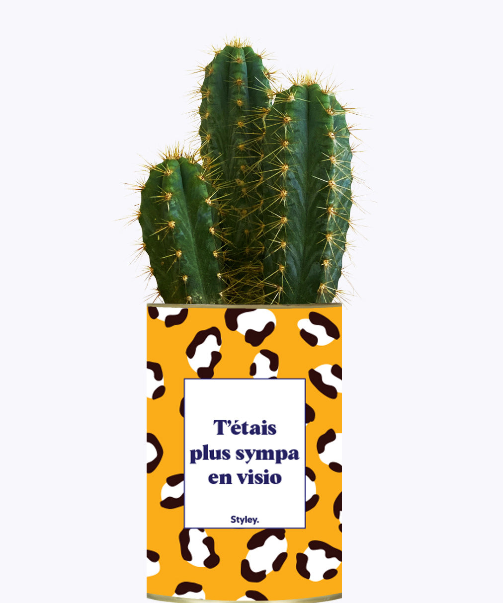 T'étais plus sympa en visio - Cactus