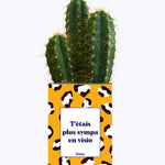 T'étais plus sympa en visio - Cactus