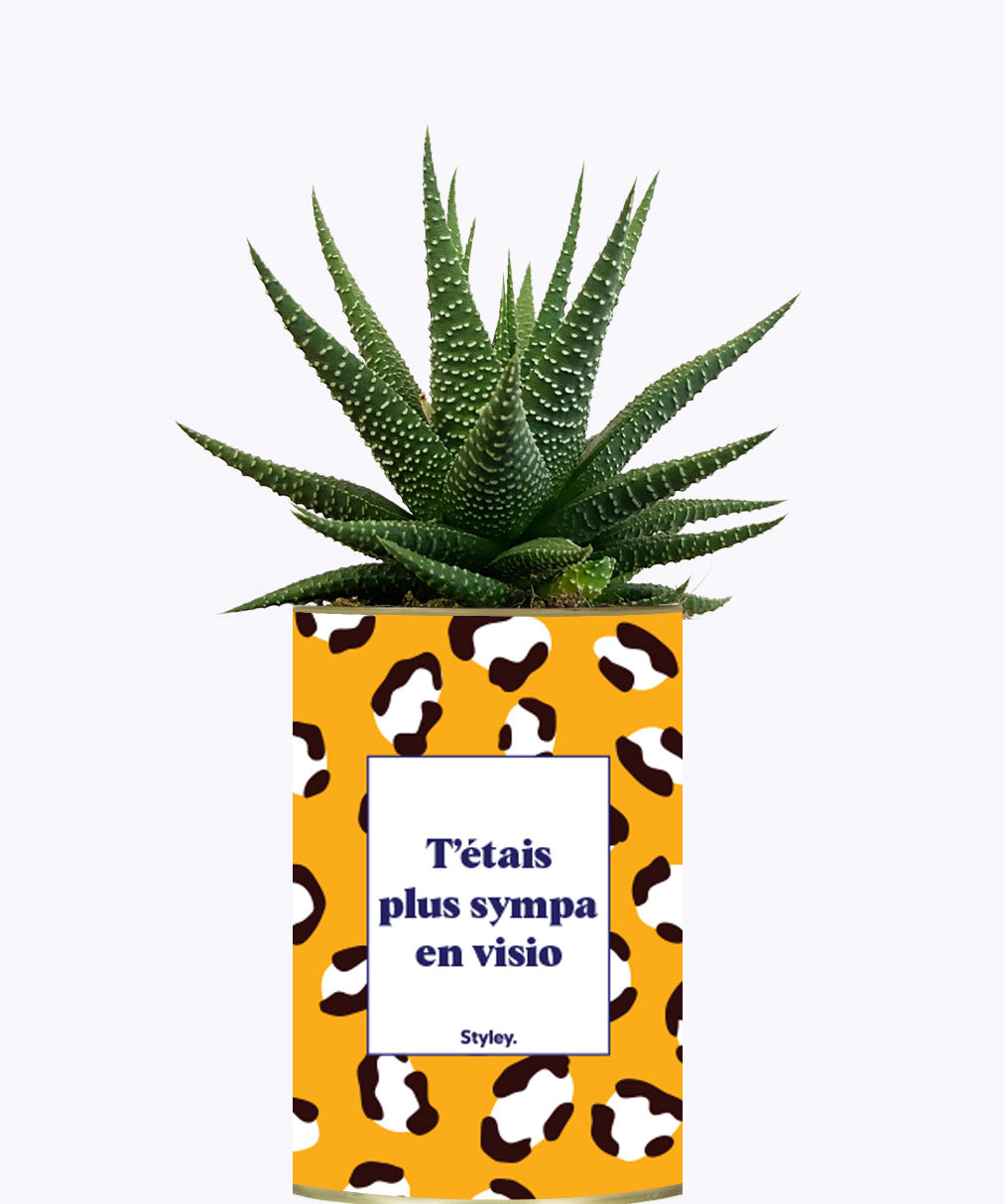 T'étais plus sympa en visio - Cactus