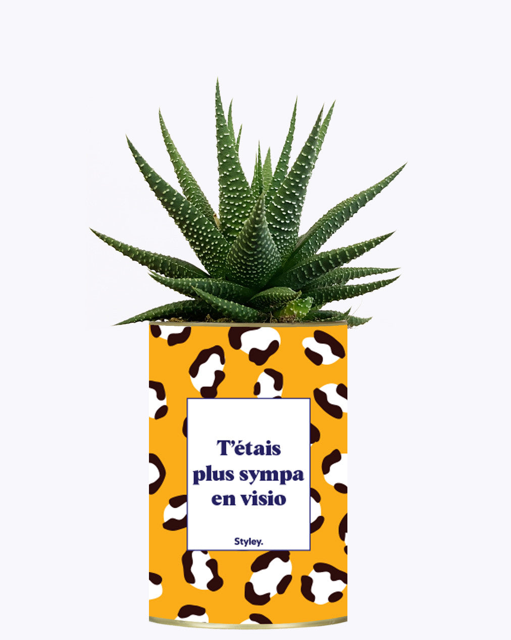 T'étais plus sympa en visio - Cactus