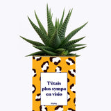 T'étais plus sympa en visio - Cactus