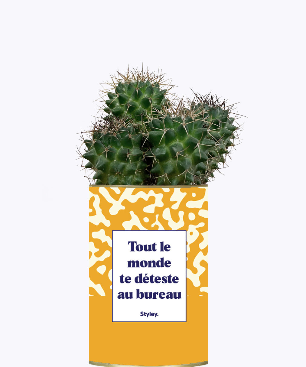 Tout le monde te déteste au bureau - Cactus