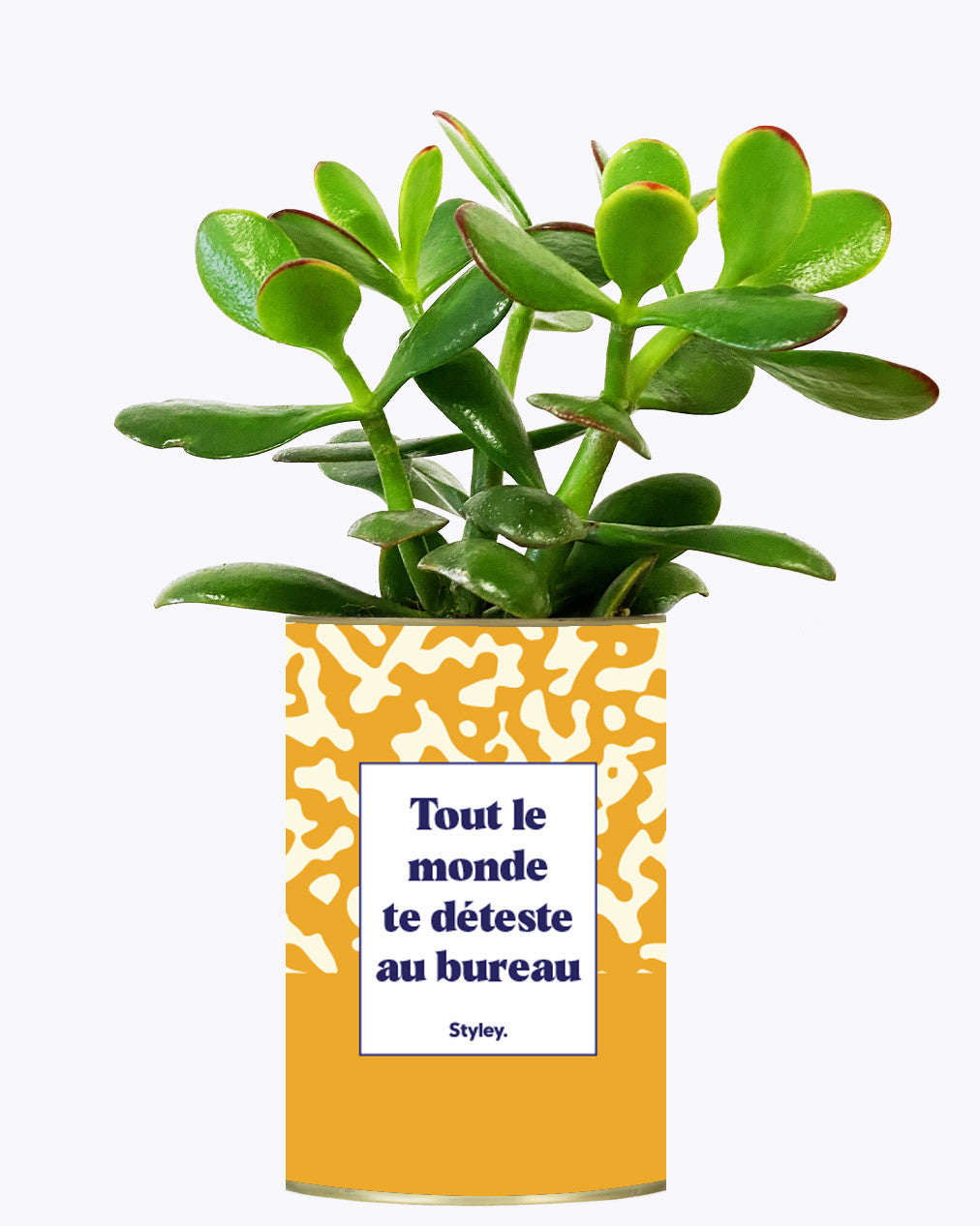 Tout le monde te déteste au bureau - Cactus