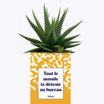 Tout le monde te déteste au bureau - Cactus