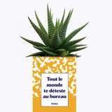Tout le monde te déteste au bureau - Cactus