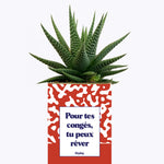 Pour tes congés, tu peux rêver - Cactus