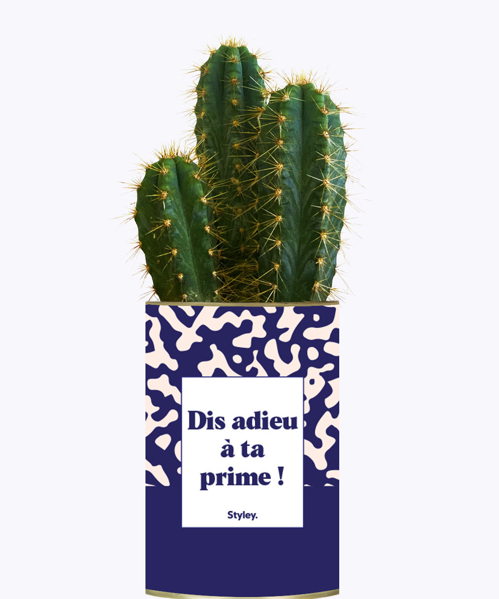 Dis adieu à ta prime ! - Cactus