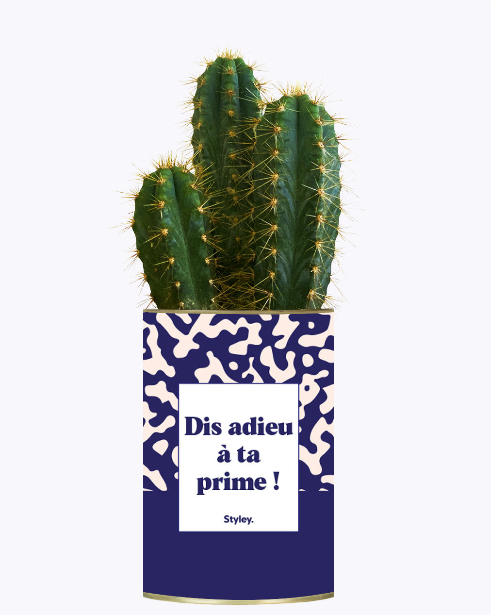 Dis adieu à ta prime ! - Cactus
