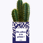 Dis adieu à ta prime ! - Cactus