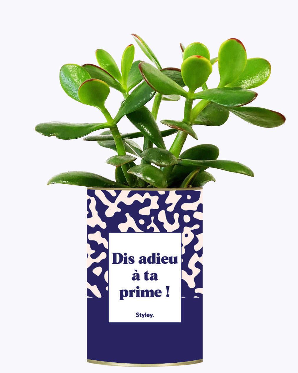 Dis adieu à ta prime ! - Cactus