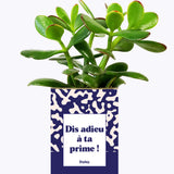 Dis adieu à ta prime ! - Cactus