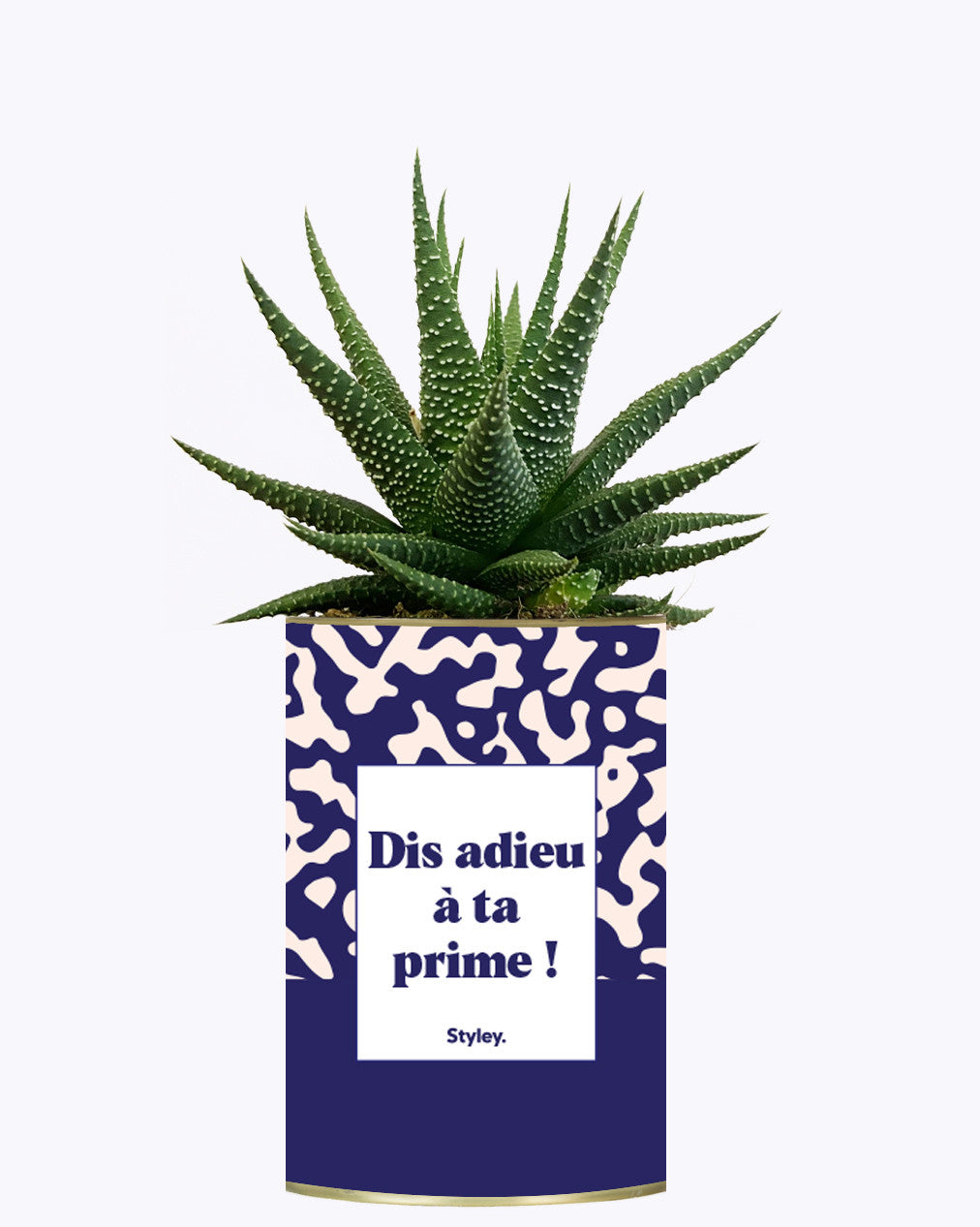 Dis adieu à ta prime ! - Cactus