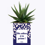 Dis adieu à ta prime ! - Cactus