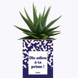 Dis adieu à ta prime ! - Cactus
