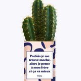Frère moche - Cactus