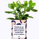 Frère moche - Cactus
