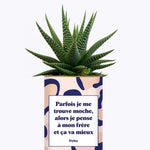 Frère moche - Cactus