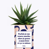 Frère moche - Cactus