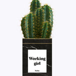 Working Girl - Cactus
