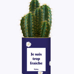 Je suis trop fraîche - Cactus