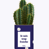 Je suis trop fraîche - Cactus
