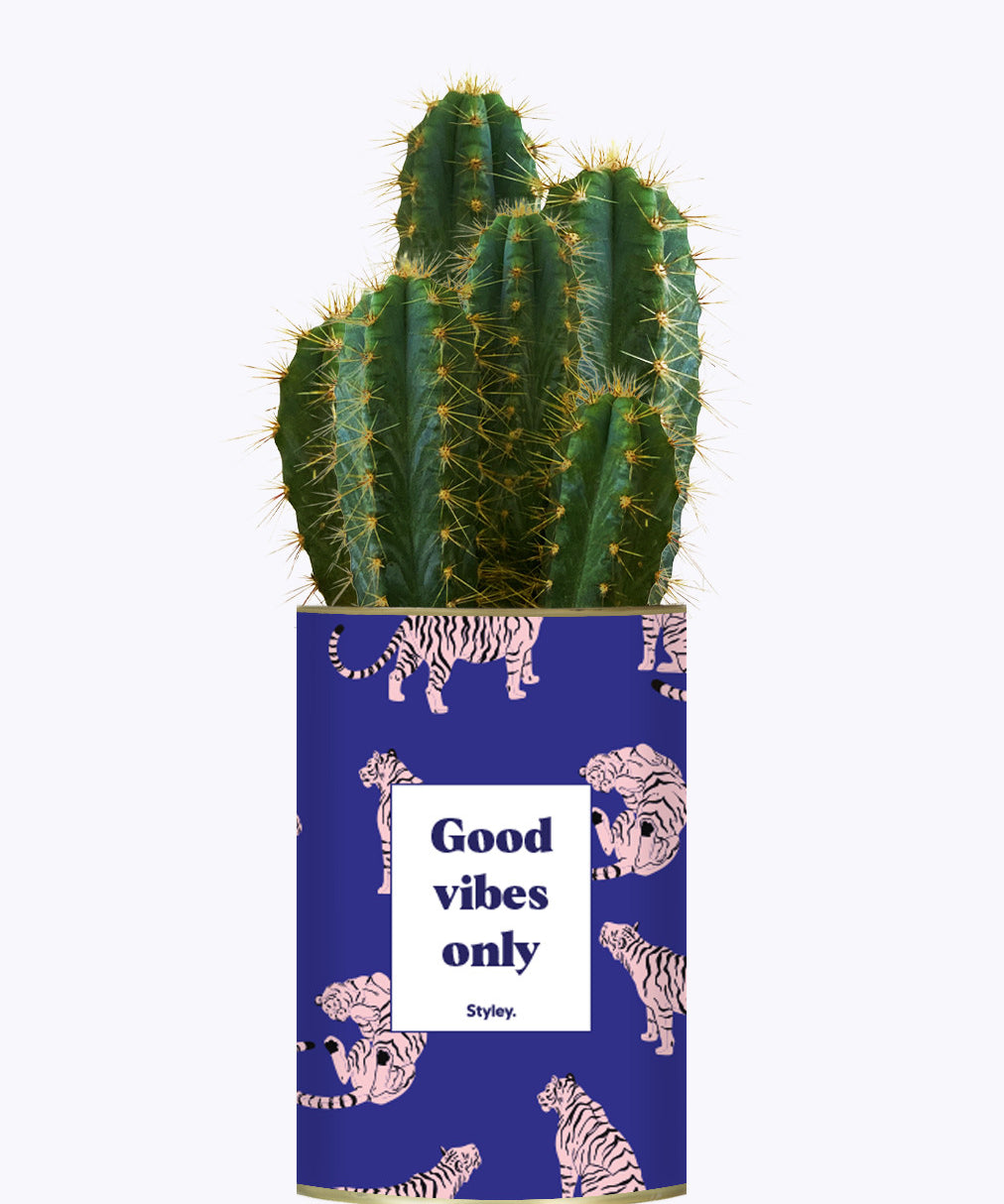 Good Vibes Only - Cactus
