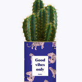 Good Vibes Only - Cactus