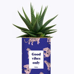 Good Vibes Only - Cactus