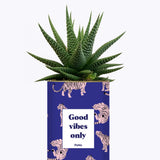 Good Vibes Only - Cactus