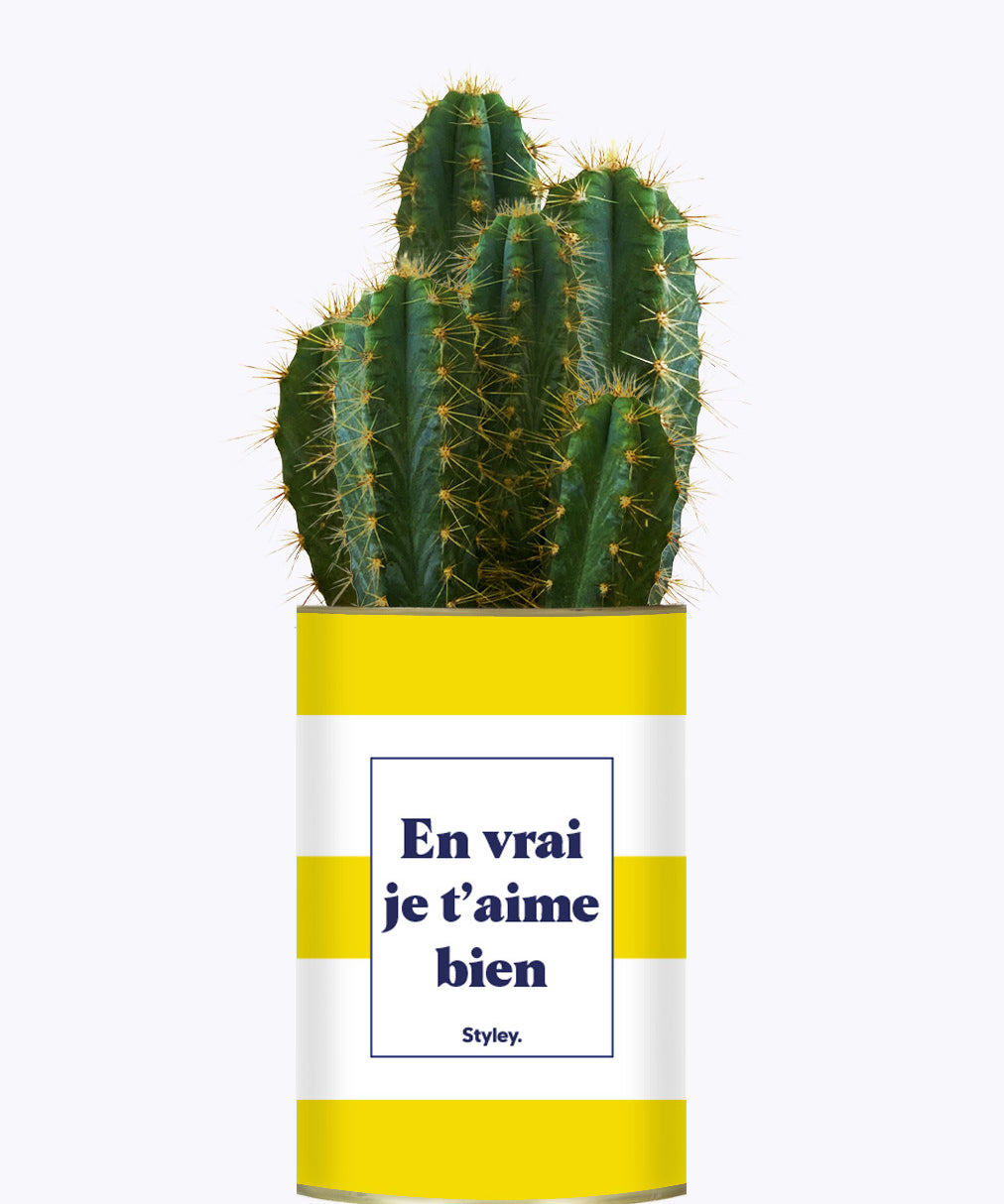 En vrai je t'aime bien - Cactus