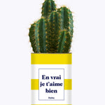 En vrai je t'aime bien - Cactus