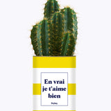 En vrai je t'aime bien - Cactus