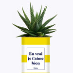 En vrai je t'aime bien - Cactus