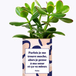 Soeur Moche - Cactus