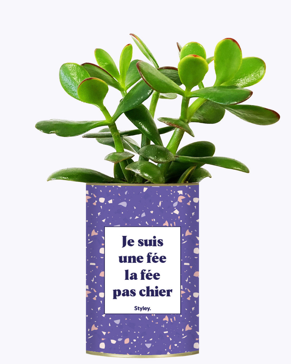 Je suis une fée la fée pas chier - Cactus