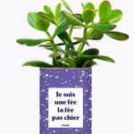 Je suis une fée la fée pas chier - Cactus
