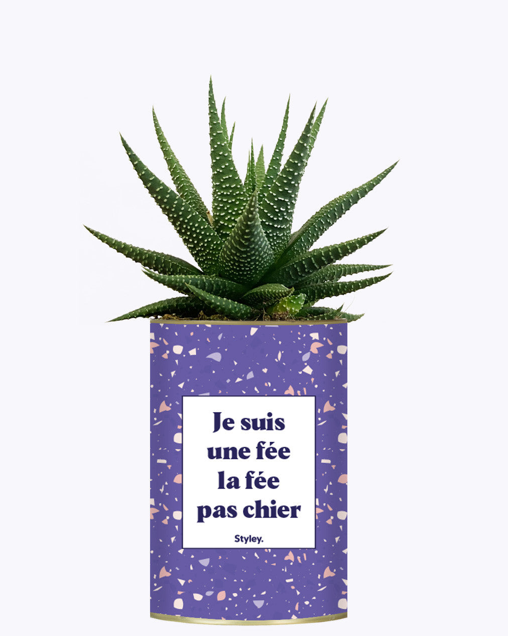 Je suis une fée la fée pas chier - Cactus