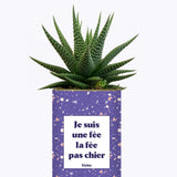 Je suis une fée la fée pas chier - Cactus