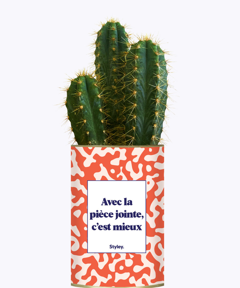 Avec la pièce jointe  - Cactus