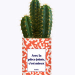 Avec la pièce jointe  - Cactus