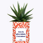 Avec la pièce jointe  - Cactus