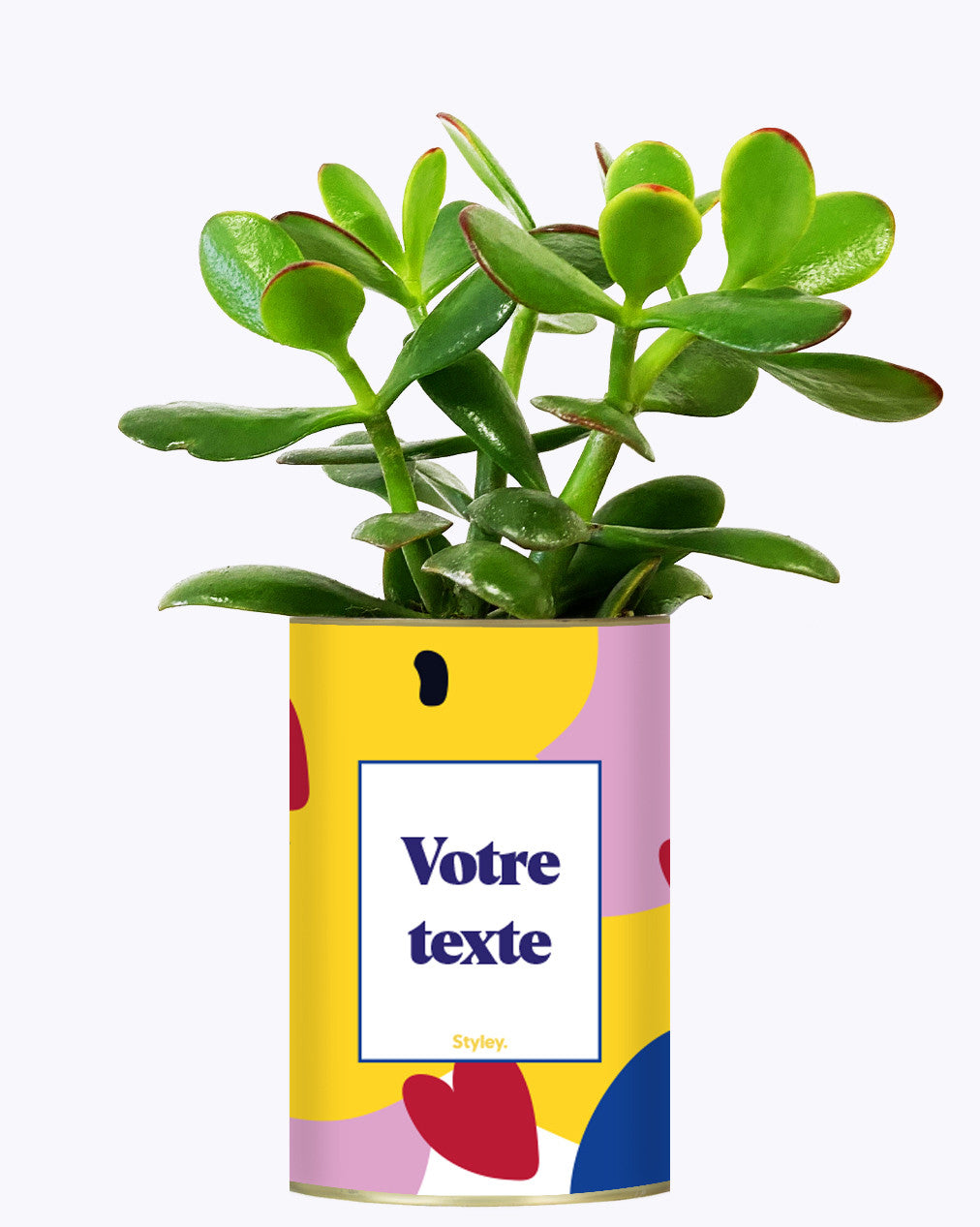 Cactus je t'aime - Personnalisable