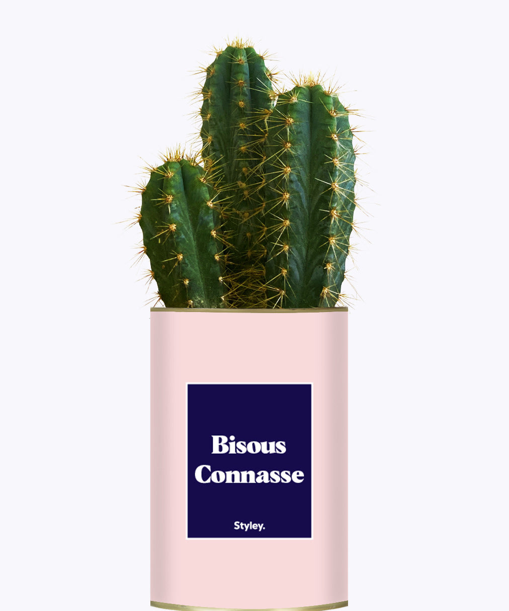 Bisous Connasse - Cactus
